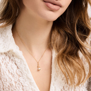 Bloom Evolution – Pure White