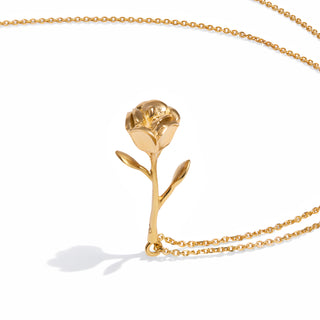 Bloom Evolution – Golden Heirloom