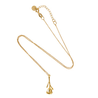 Bloom Evolution – Golden Heirloom