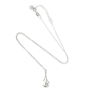 Bloom Evolution – Silver Heirloom