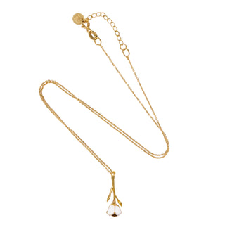 Bloom Evolution – Pure White