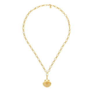 Secret Shell Necklace Gold