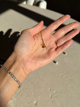 Bloom Evolution – Golden Heirloom