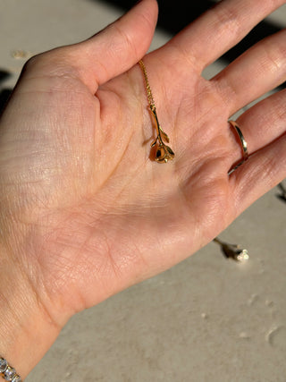 Bloom Evolution – Golden Heirloom