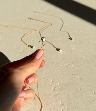 Bloom Evolution – Pure White