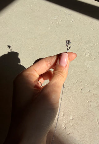 Bloom Evolution – Silver Heirloom